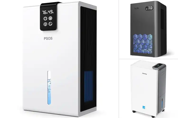 Detailed view of Best Dehumidifiers: Top 10 Picks for a Dry, Healthy Home