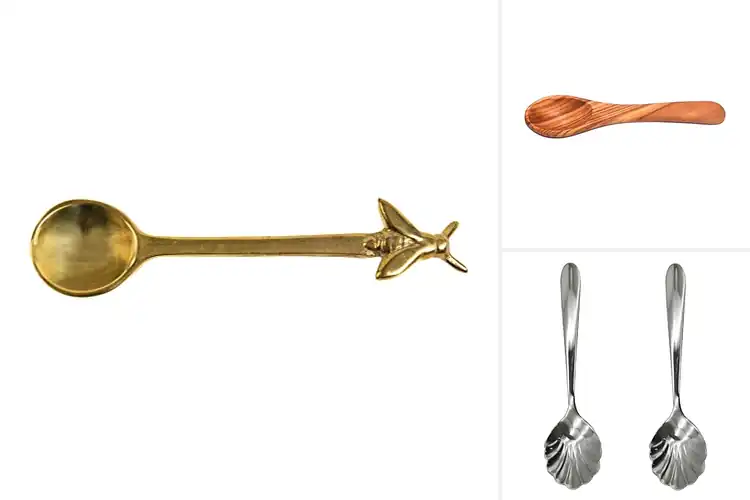 Detailed view of Best Gift Sugar Spreader Spoon: 10 Stylish Picks