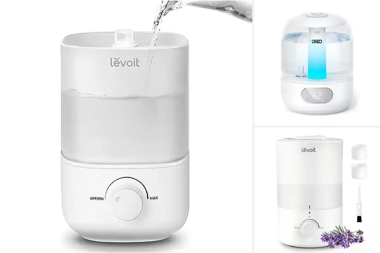 Detailed view of Best Humidifiers