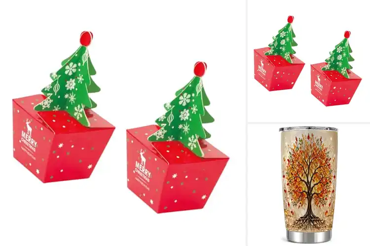 Detailed view of Best Seasonal Transport Gifts: Practical Picks That Impress